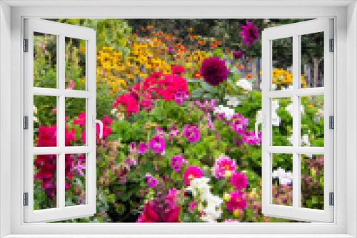 Fototapeta Naklejka Na Ścianę Okno 3D - Colorful Garden Flowers Growing in Grey Garden