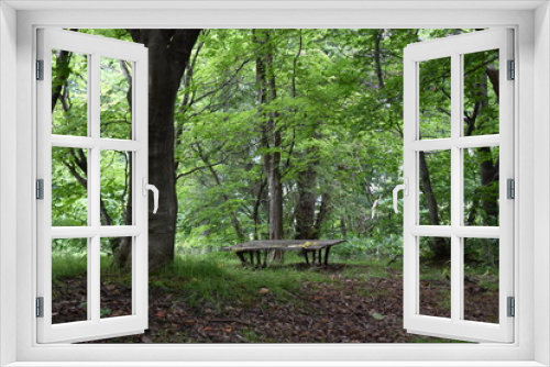 Fototapeta Naklejka Na Ścianę Okno 3D - 森の中のベンチ