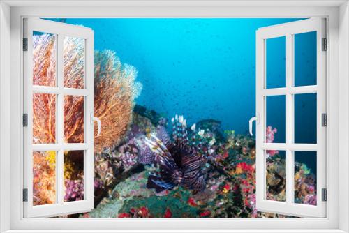Fototapeta Naklejka Na Ścianę Okno 3D - Lionfish on a coral reef