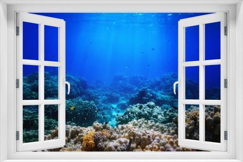Fototapeta Naklejka Na Ścianę Okno 3D - colorful corals and exotic fishes at the bottom of the Red sea. beautiful natural summer background