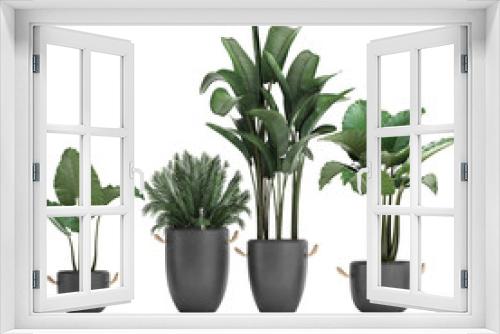 Fototapeta Naklejka Na Ścianę Okno 3D - exotic plants in pots on a white background