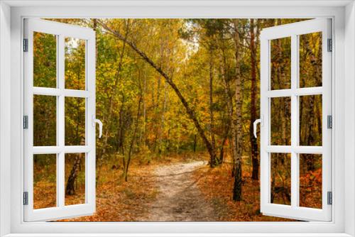 Fototapeta Naklejka Na Ścianę Okno 3D - Forest. Beginning of autumn. The leaves began to turn yellow and blush, but still held on branches. Sunny day. A pleasant walk among the trees.