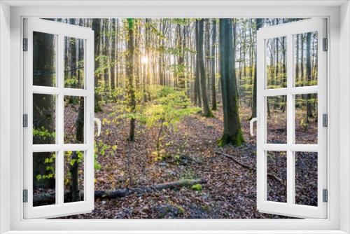 Fototapeta Naklejka Na Ścianę Okno 3D - Schlangenbad forest