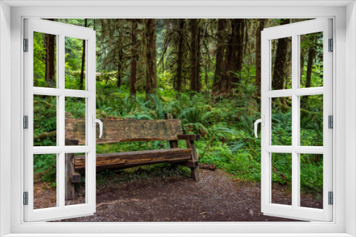 Fototapeta Naklejka Na Ścianę Okno 3D - Bench in forest