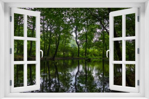 Fototapeta Naklejka Na Ścianę Okno 3D - 森の池