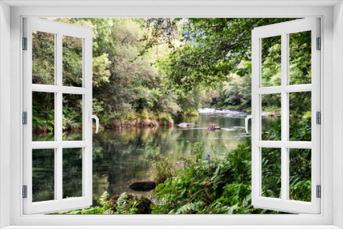 Fototapeta Naklejka Na Ścianę Okno 3D - Eume river in the Fragas do Eume park