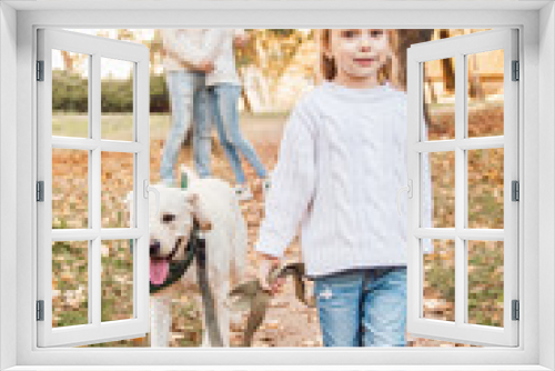 Fototapeta Naklejka Na Ścianę Okno 3D - Little beautiful girl and parents walking with dog labrador in the park.