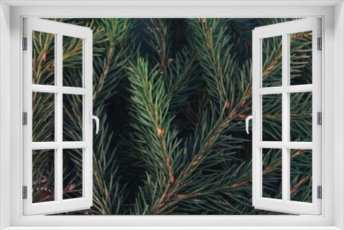 Fototapeta Naklejka Na Ścianę Okno 3D - Christmas background concept. Fir tree branches texture. New Year, winter holiday, plant, pine, spruce
