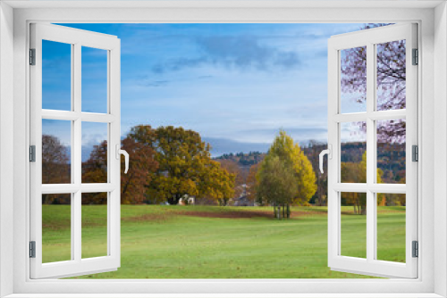 Fototapeta Naklejka Na Ścianę Okno 3D - Charming autumn landscape in Scotland - colourful trees, grass, forest, blue sky