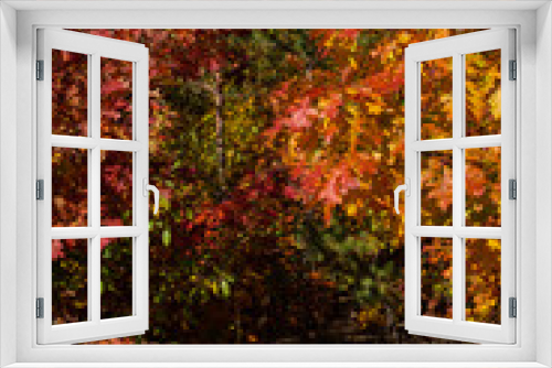 Fototapeta Naklejka Na Ścianę Okno 3D - red autumn leaves