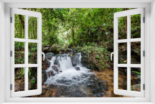 Fototapeta Naklejka Na Ścianę Okno 3D - Small waterfall in the dark forest. Waterfalls and vegetation inside the Bwindi Impenetrable Forest