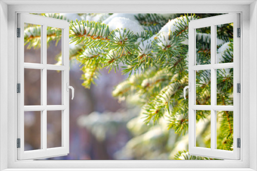 Fototapeta Naklejka Na Ścianę Okno 3D - Branches of green spruce covered with snow on a blurred background with bokeh. The concept of preparation for the winter holidays, new year, christmas. Beautiful background with copyspace.