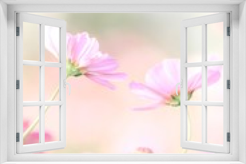 Fototapeta Naklejka Na Ścianę Okno 3D - flower on green background