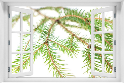 Fototapeta Naklejka Na Ścianę Okno 3D - Green needles on a Christmas tree branch