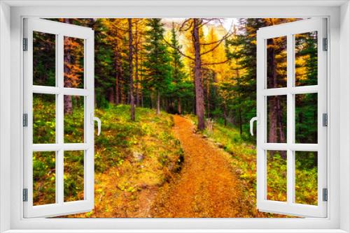 Fototapeta Naklejka Na Ścianę Okno 3D - Rich Trail Through Deep Woods In Autumn Mountain Wilderness