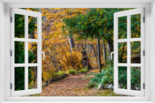 Fototapeta Naklejka Na Ścianę Okno 3D - Autumnal path in a park