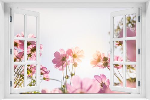 Fototapeta Naklejka Na Ścianę Okno 3D - Nature of pink flower cosmos in garden using as cover page background natural flora wallpaper or template brochure landing page design