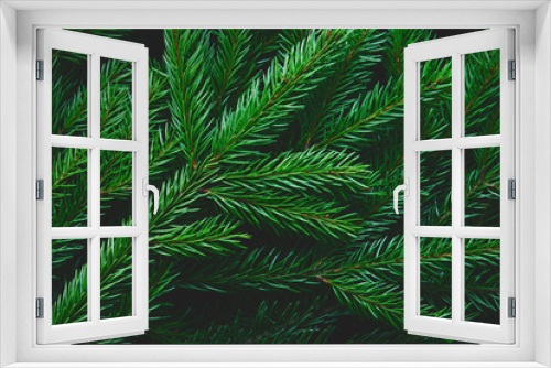 Fototapeta Naklejka Na Ścianę Okno 3D - Branches of fir tree as background, matte, dark, closeup.