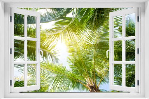 Fototapeta Naklejka Na Ścianę Okno 3D - tropical palm leaf background, coconut palm trees perspective view
