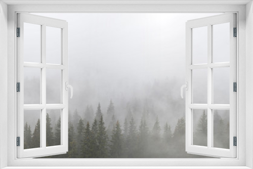 Fototapeta Naklejka Na Ścianę Okno 3D - Mystic landscape with fog