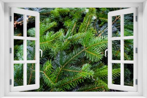 Fototapeta Naklejka Na Ścianę Okno 3D - Natural fresh green fir branches, spruce background, texture