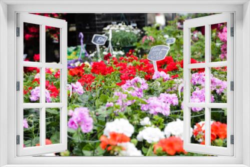 Fototapeta Naklejka Na Ścianę Okno 3D - Flowermarket Lille France