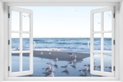 Fototapeta Naklejka Na Ścianę Okno 3D - beautiful seagulls flying by the sea