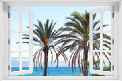 Fototapeta Naklejka Na Ścianę Okno 3D - two green palm trees on a background of blue sea and sky. Spain, Salou, Costa Dorada