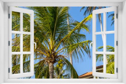 Fototapeta Naklejka Na Ścianę Okno 3D - coconut palms silhouettes trees