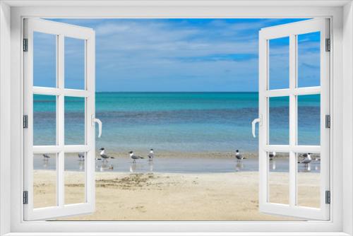 Fototapeta Naklejka Na Ścianę Okno 3D - Birds on the Beach