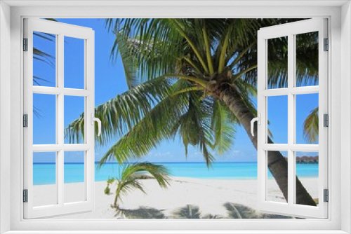 Fototapeta Naklejka Na Ścianę Okno 3D - blue sky, turquoise sea and palm trees for the typical Maldivian landscape
