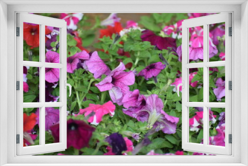 Fototapeta Naklejka Na Ścianę Okno 3D -  flowers in the garden