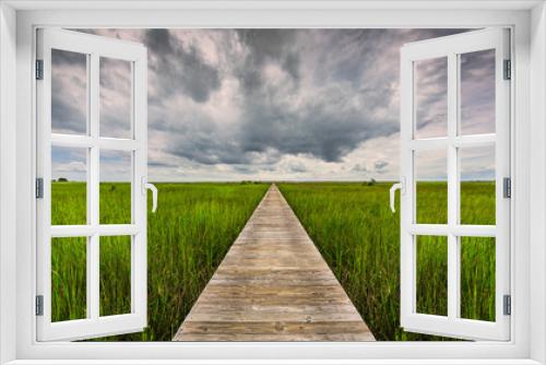 Fototapeta Naklejka Na Ścianę Okno 3D - Long pier in marshland