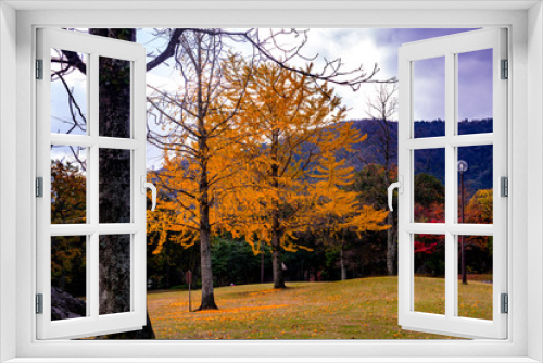 Fototapeta Naklejka Na Ścianę Okno 3D - 南立石公園の紅葉