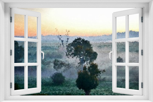 Fototapeta Naklejka Na Ścianę Okno 3D - landscape with blue gum trees in fog at sunrise