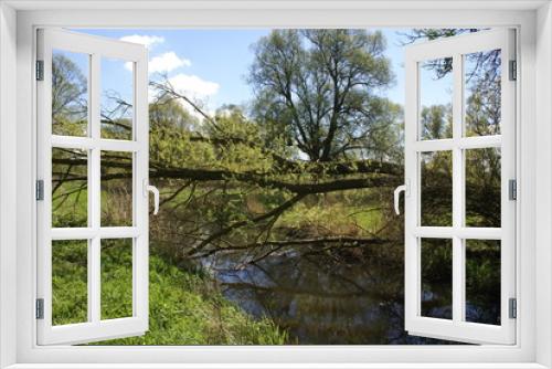Fototapeta Naklejka Na Ścianę Okno 3D - Alte Süderelbe, Querliegender Baum
