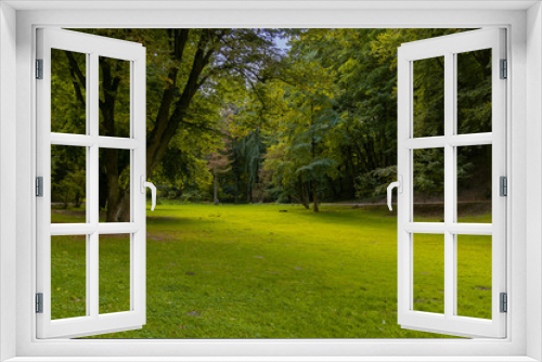 Fototapeta Naklejka Na Ścianę Okno 3D - idyllic peaceful park outdoor nature scenic spring time environment green grass meadow smooth ground surface surrounded by trees foliage without people  