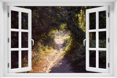 Fototapeta Naklejka Na Ścianę Okno 3D - Scenic path with green arch. Natural foliage gate, green foliage tunnel, light path. Magic garden and mysterious greenery. Romantic thicket passage with footpath.