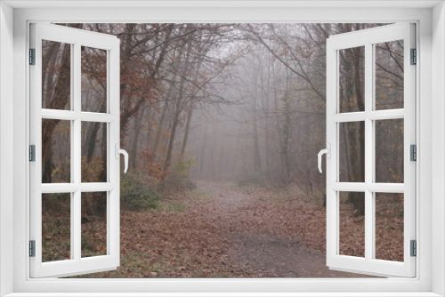 Fototapeta Naklejka Na Ścianę Okno 3D - Waldweg im Nebel