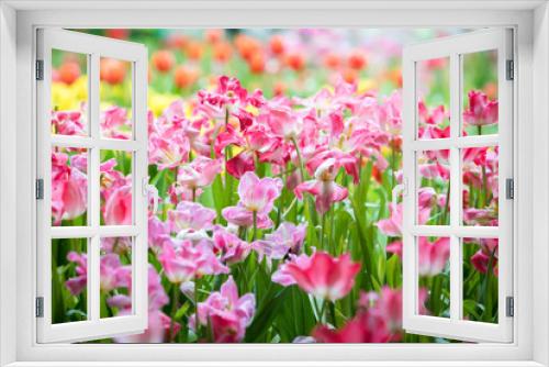 Fototapeta Naklejka Na Ścianę Okno 3D - Beautiful bouquet of red and pink tulips in the flower garden for card design and web banner. Selective focus