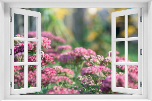Fototapeta Naklejka Na Ścianę Okno 3D - A bouquet of garden pink flowers. Flowers close-up. Holiday card