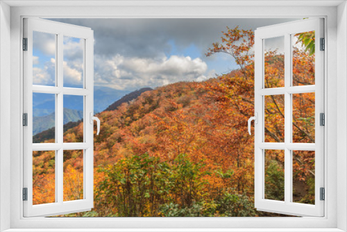 Fototapeta Naklejka Na Ścianę Okno 3D -  	秋の天神峠から谷川岳への登山道からみた風景