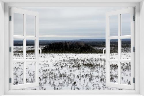 Fototapeta Naklejka Na Ścianę Okno 3D - The snow covered lonely naked trees in swamp area. Winter time. Graphic tree winter background.