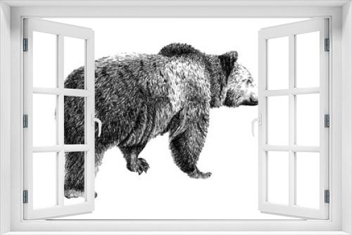 Fototapeta Naklejka Na Ścianę Okno 3D - Hand drawn bear, sketch graphics monochrome illustration