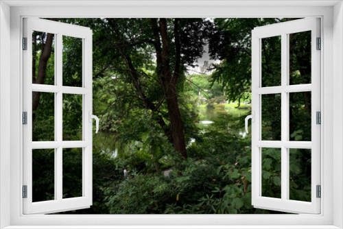 Fototapeta Naklejka Na Ścianę Okno 3D - Árboles y follaje en el parque