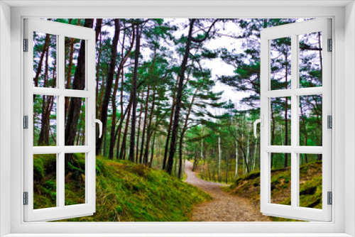 Fototapeta Naklejka Na Ścianę Okno 3D - road to the forest
