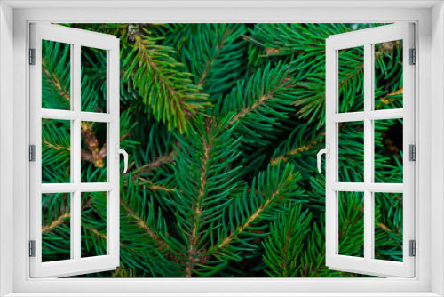 Fototapeta Naklejka Na Ścianę Okno 3D - Christmas tree branches closeup. Coniferous tree, texture, background.