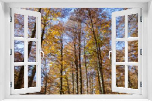 Fototapeta Naklejka Na Ścianę Okno 3D - Forest in autumn,foliage of trees, colors in nature