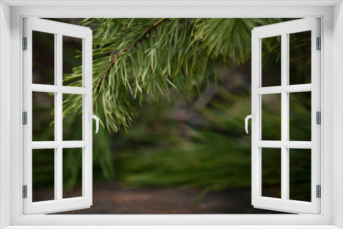 Fototapeta Naklejka Na Ścianę Okno 3D - Christmas tree and blurred background. Selective focus