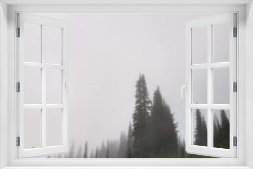 Fototapeta Naklejka Na Ścianę Okno 3D - trees in fog warm toned